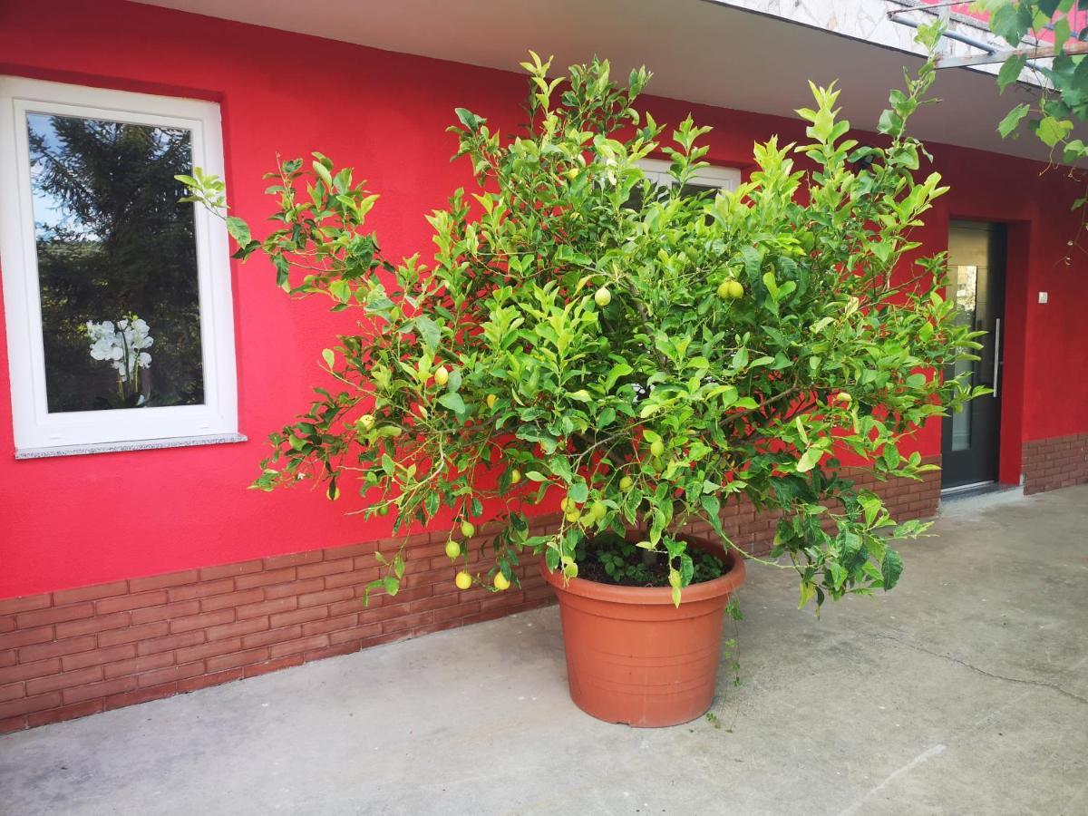 Apartments Zimerman Portoroz Exterior photo