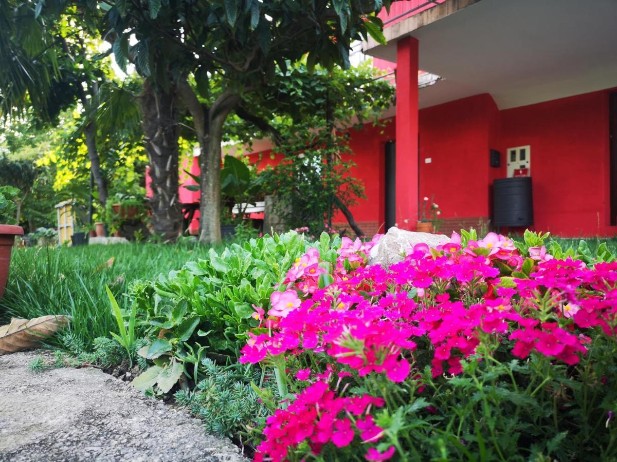 Apartments Zimerman Portoroz Exterior photo